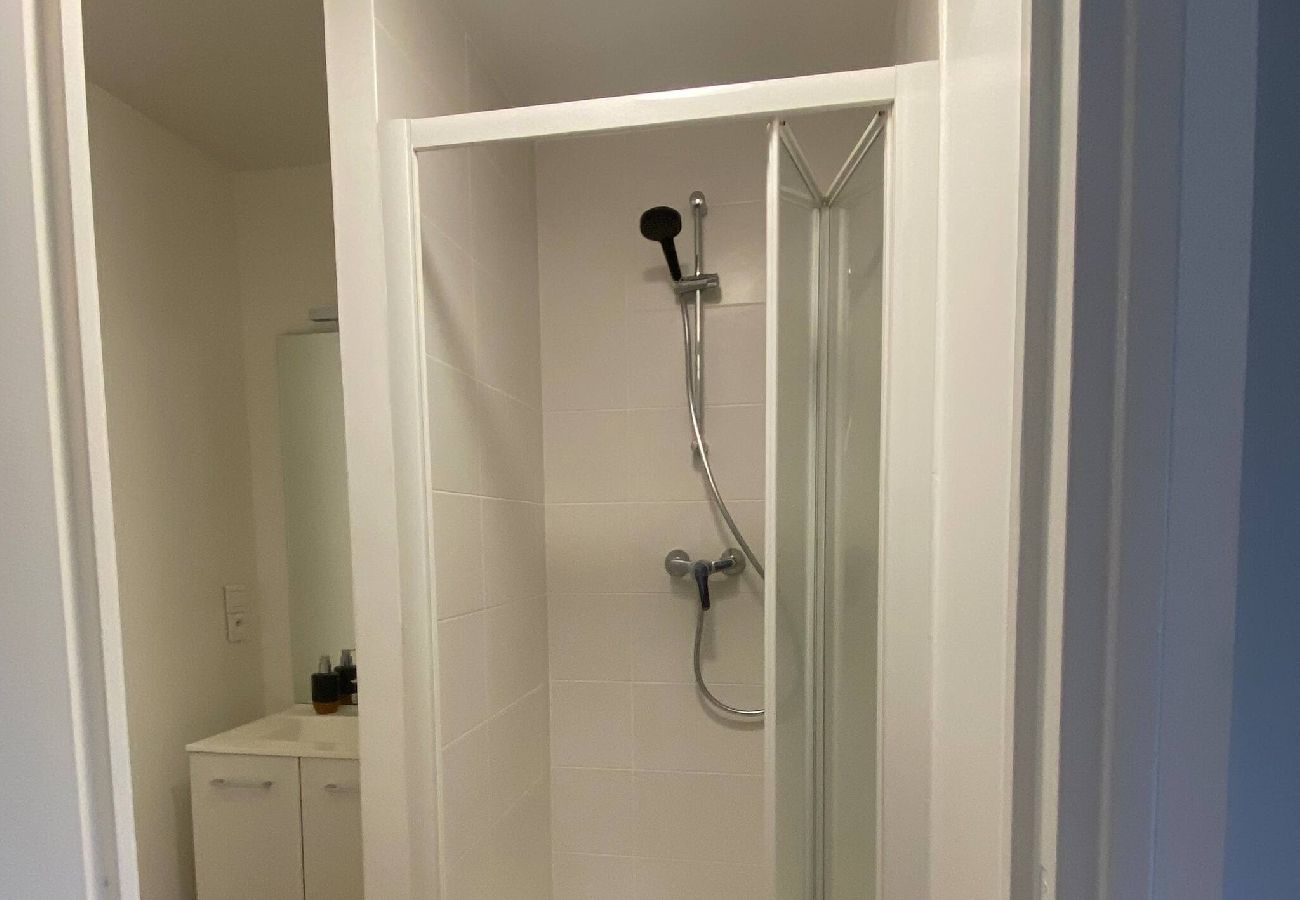 Appartement à Clermont-Ferrand - Le Ballainvillier - Appart calme en centre-ville