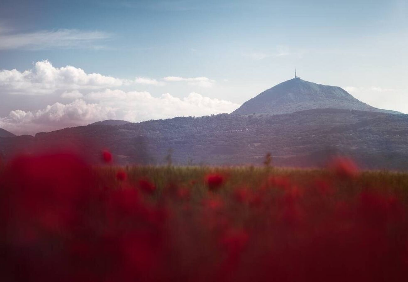 Appartement à Clermont-Ferrand - Jungle - Appart rénové & lumineux à 2 min du TRAM
