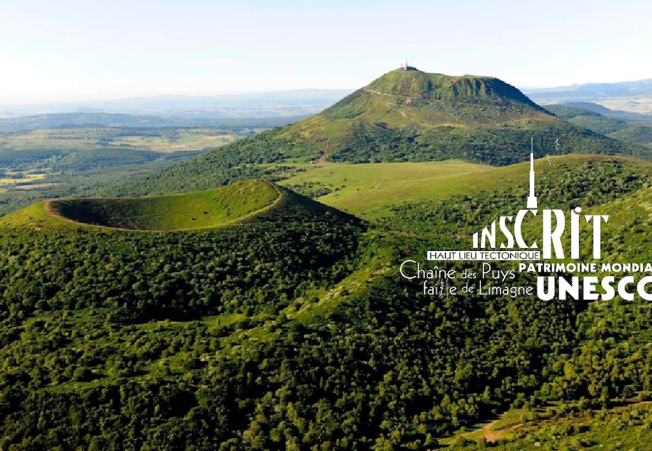 Appartement à Royat - Le Louvre - Appart proche thermes chic & douillet