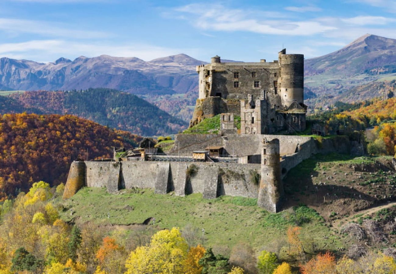 Appartement à Royat - Le Louvre - Appart proche thermes chic & douillet