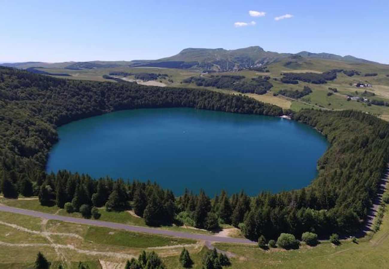 Appartement à Royat - Le Louvre - Appart proche thermes chic & douillet