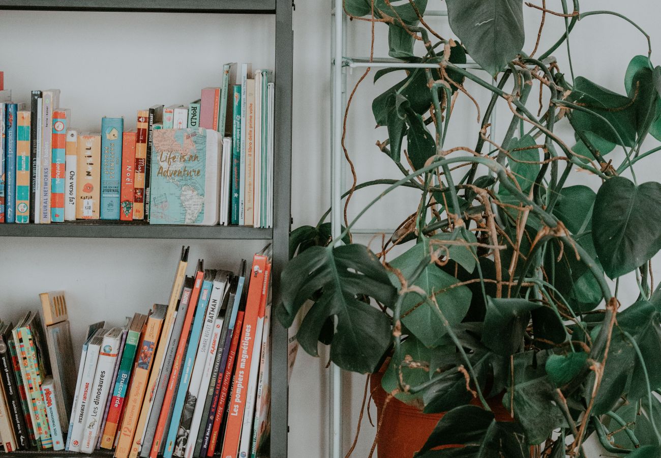 Appartement à Clermont-Ferrand - Terrail