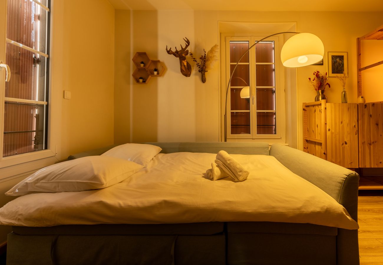 Appartement à Royat - Barrieu proche Thermes Calme Spacieux